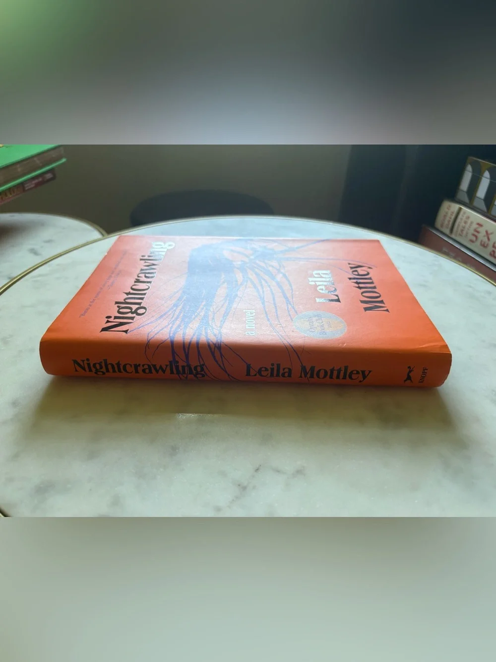 Nightcrawling by Leila Mottley Hardcover Book